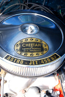 2009 George Pappas' Cheetah Beaumont